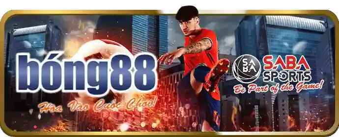 Đá Gà Thomo tại w888 đăng nhập